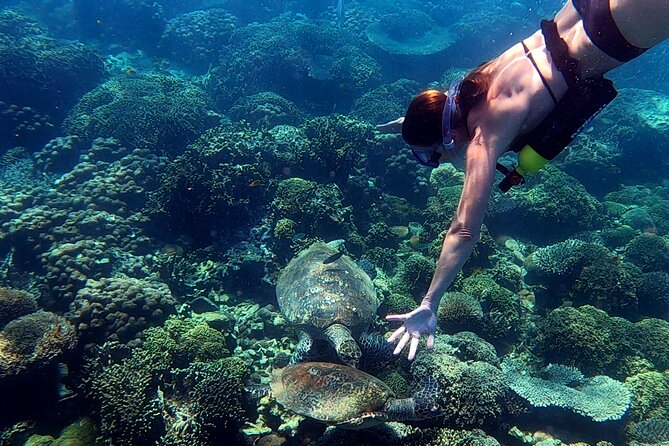 récif corallien de Tanikely, poissons tropicaux